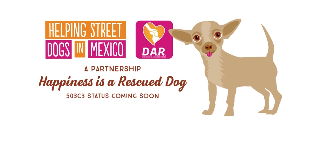 Helping Street Dogs In Mexico – Facebook Banner